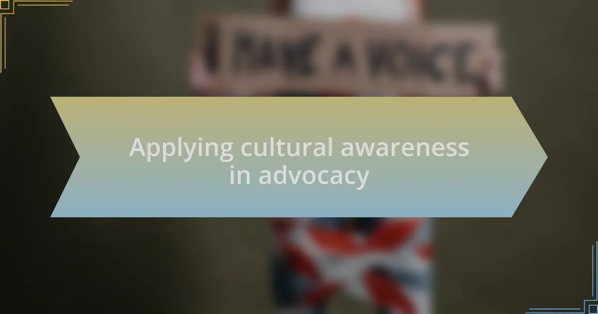 Applying cultural awareness in advocacy