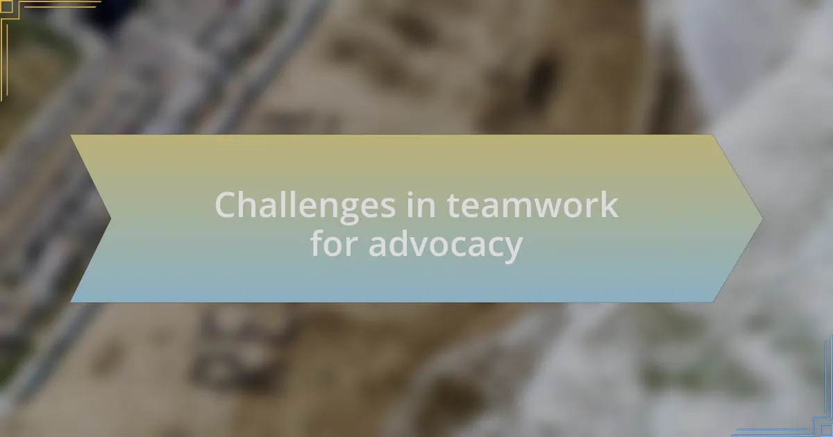 Challenges in teamwork for advocacy
