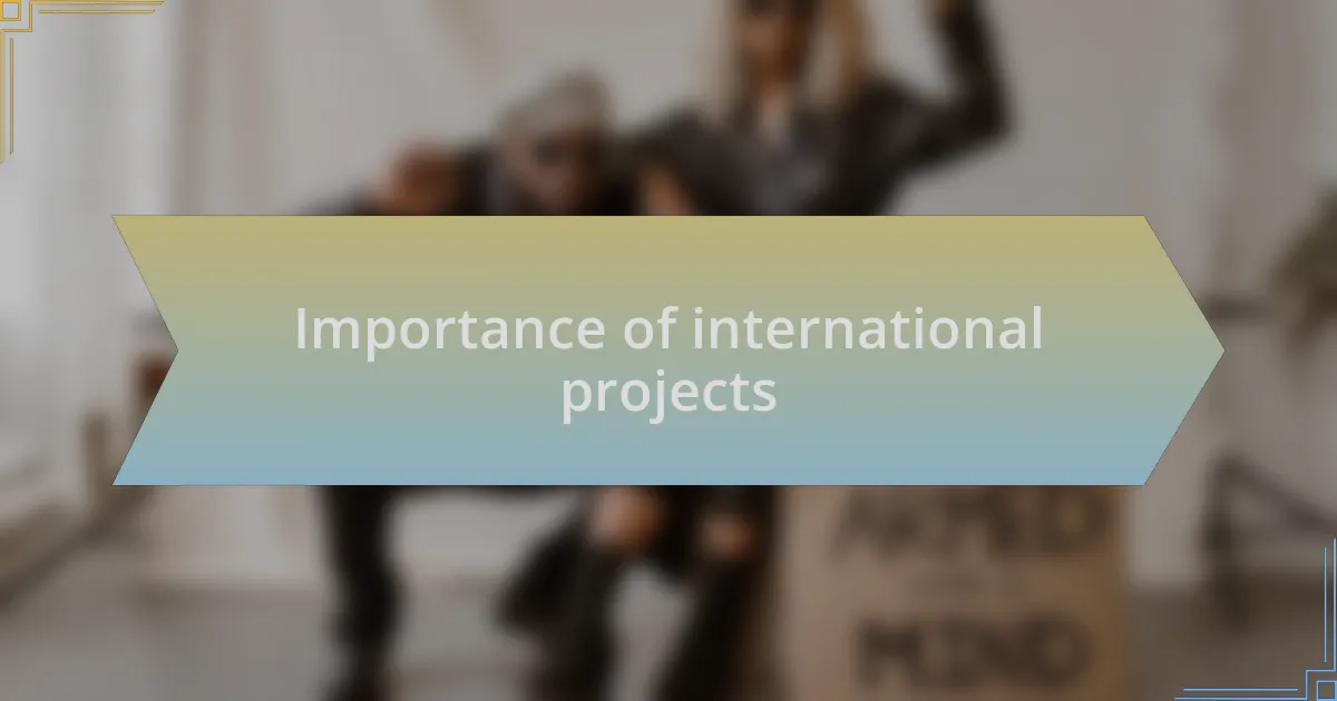 Importance of international projects