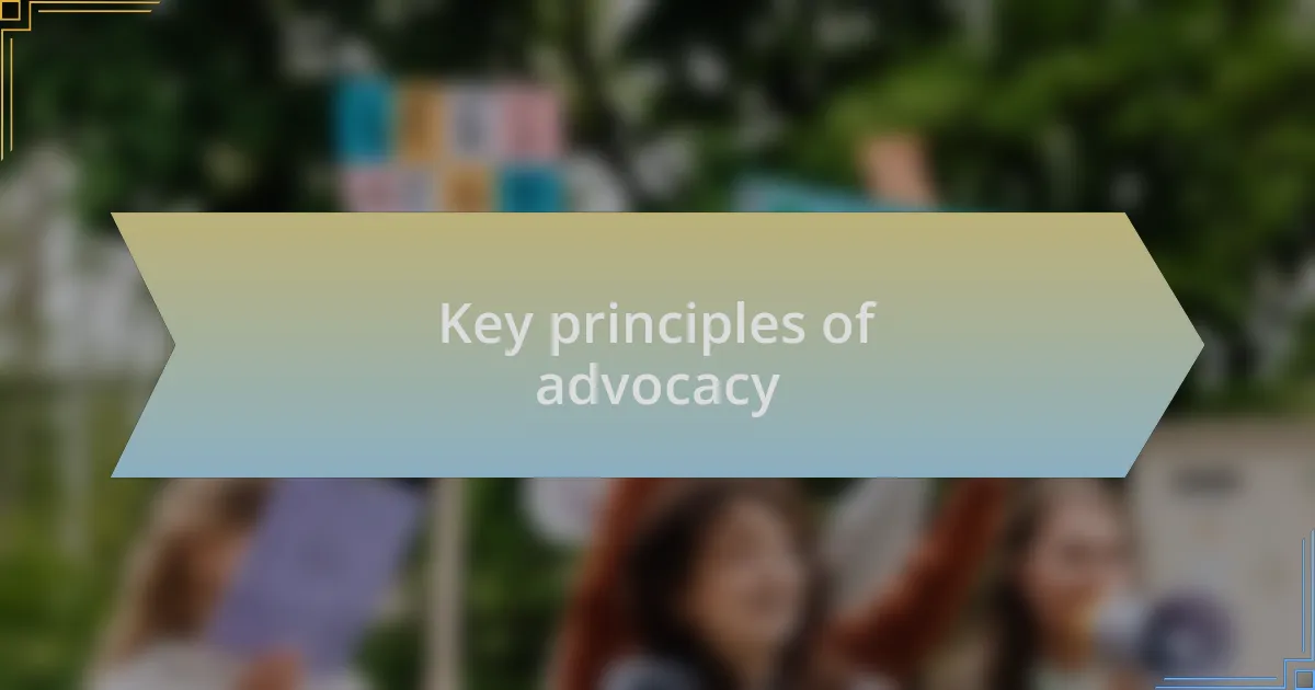 Key principles of advocacy