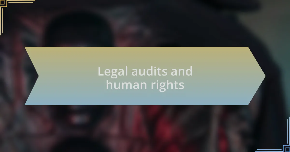 Legal audits and human rights