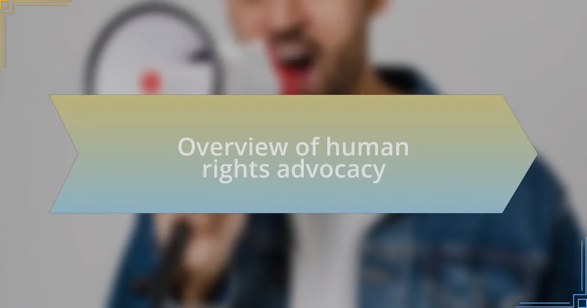 Overview of human rights advocacy