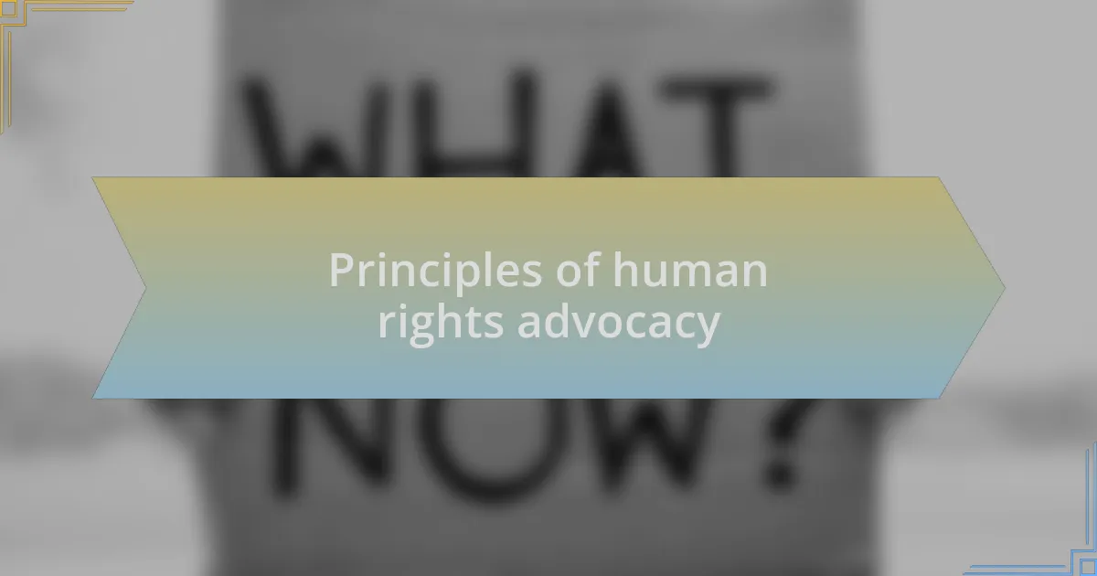 Principles of human rights advocacy